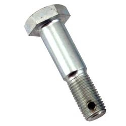 Brake backing plate bolt  (set of 2) | 28-31