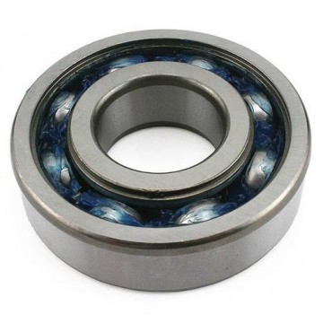 Ball & roller bearings